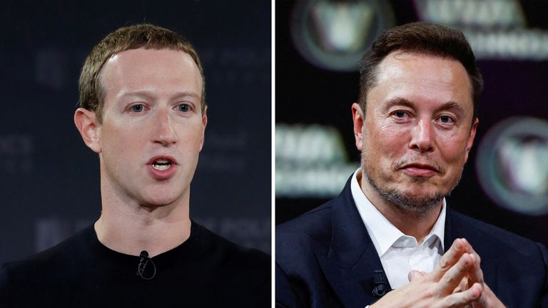 1st Cage Fight: Elon Musk vs. Mark Zuckerberg - Asiana Times