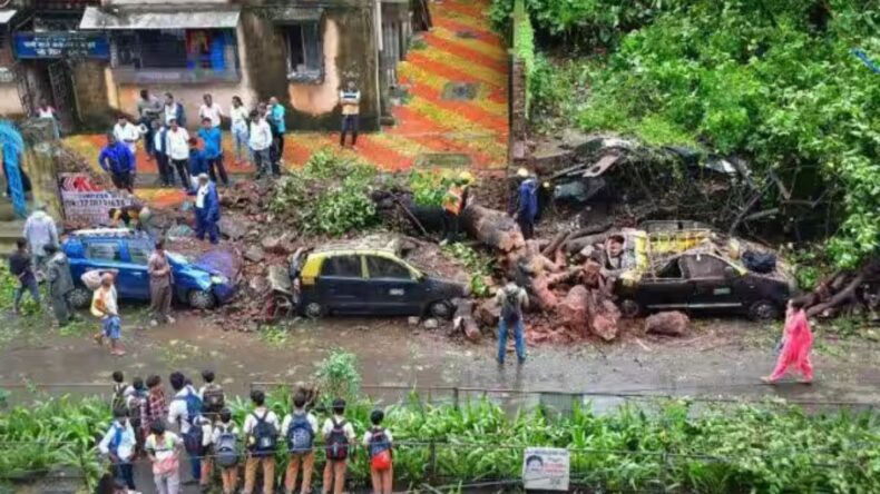 Mumbai's Green Cover Under Threat : 100+ Trees Uprooted - Asiana Times