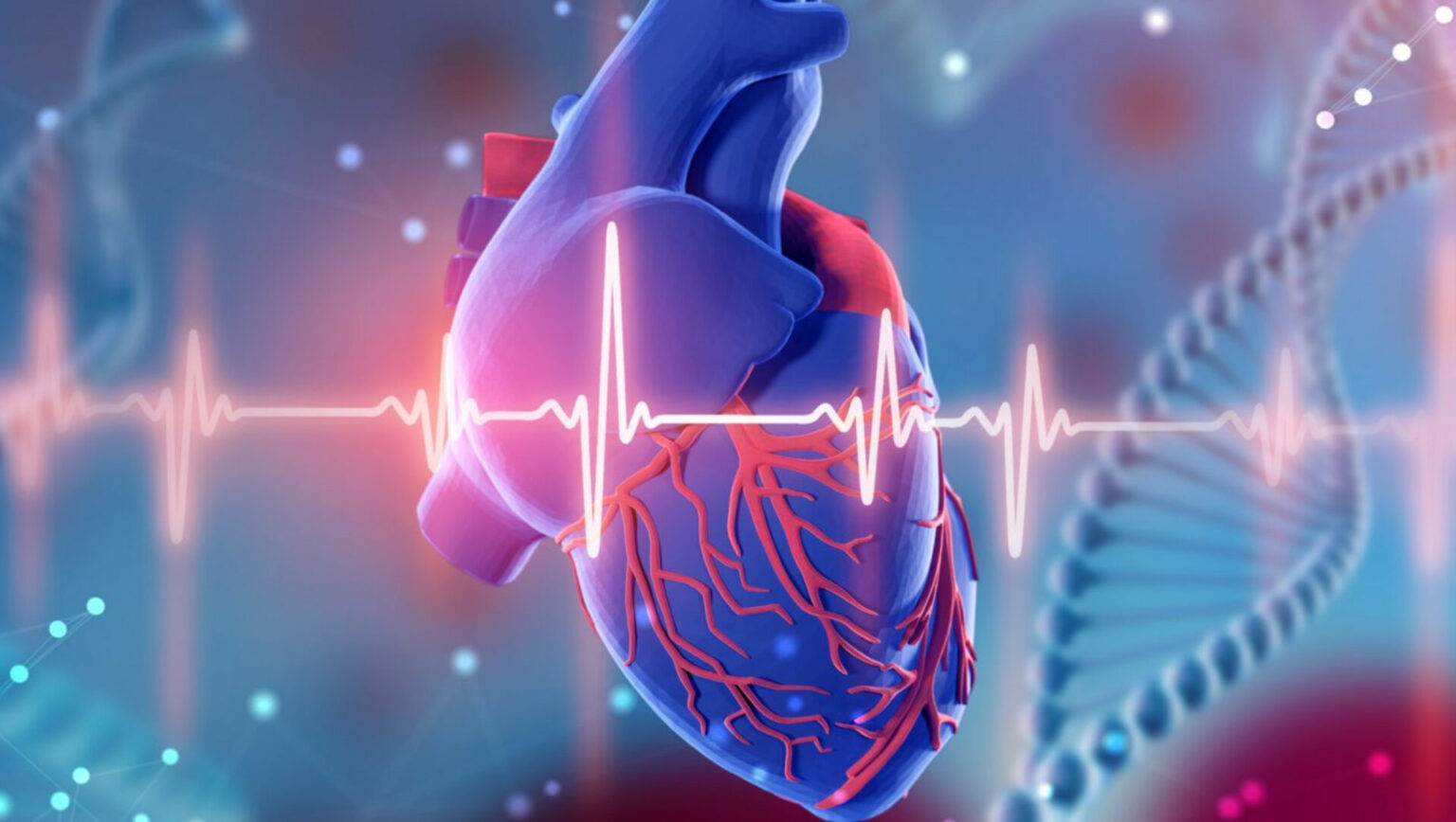 AI revolutionizes the Diagnosis of Heart Valve Diseases - Asiana Times