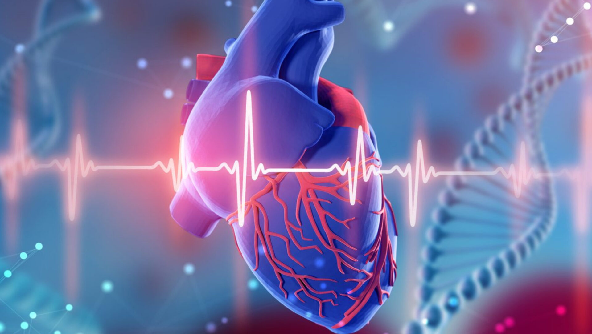 AI revolutionizes the Diagnosis of Heart Valve Diseases