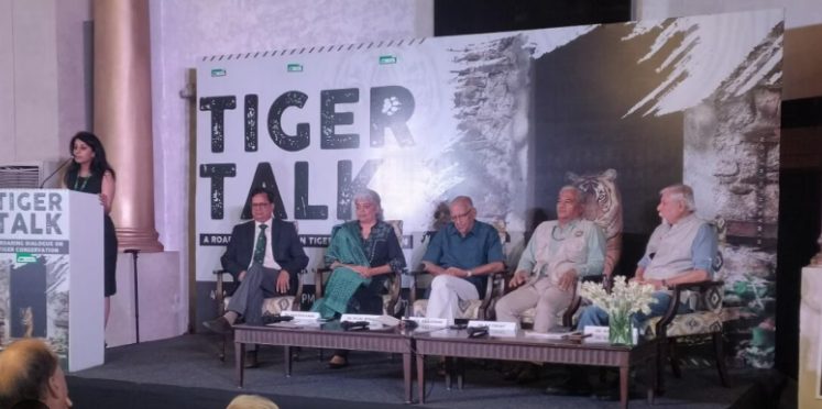 Tiger Bonds: Paving Path for Urgent Tiger Conservation - Asiana Times