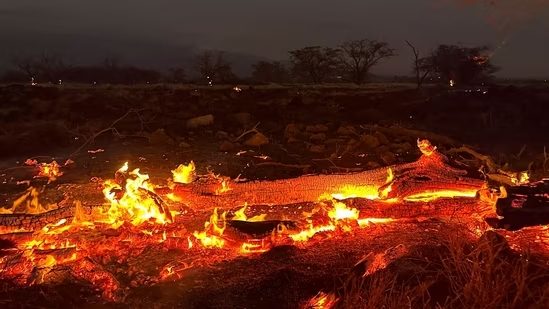 Deaths from Hawaii Wildfires Reach 89 - Asiana Times