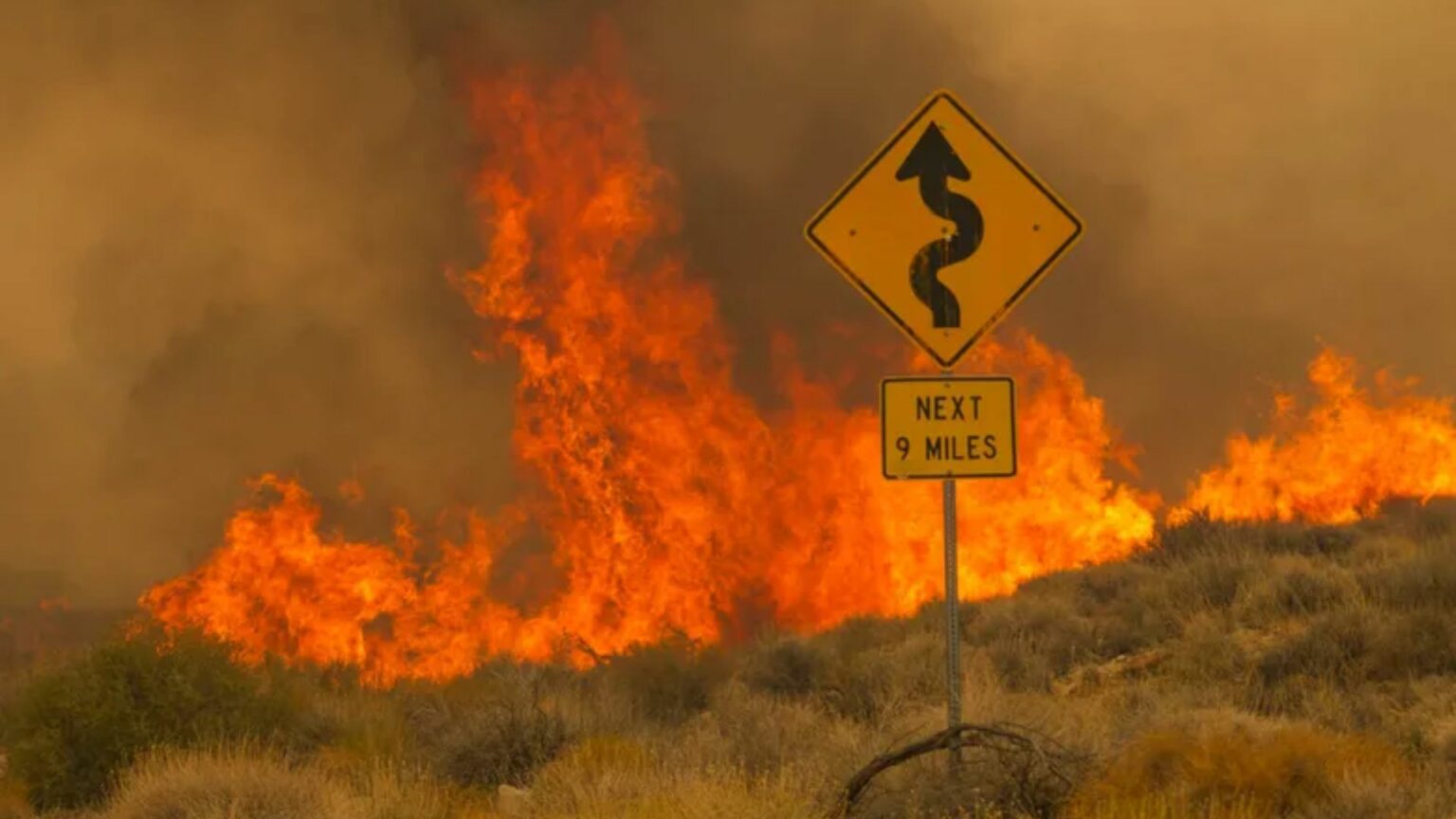 York Fire, Reaches Nevada, Burns Through Joshua Forests - Asiana Times