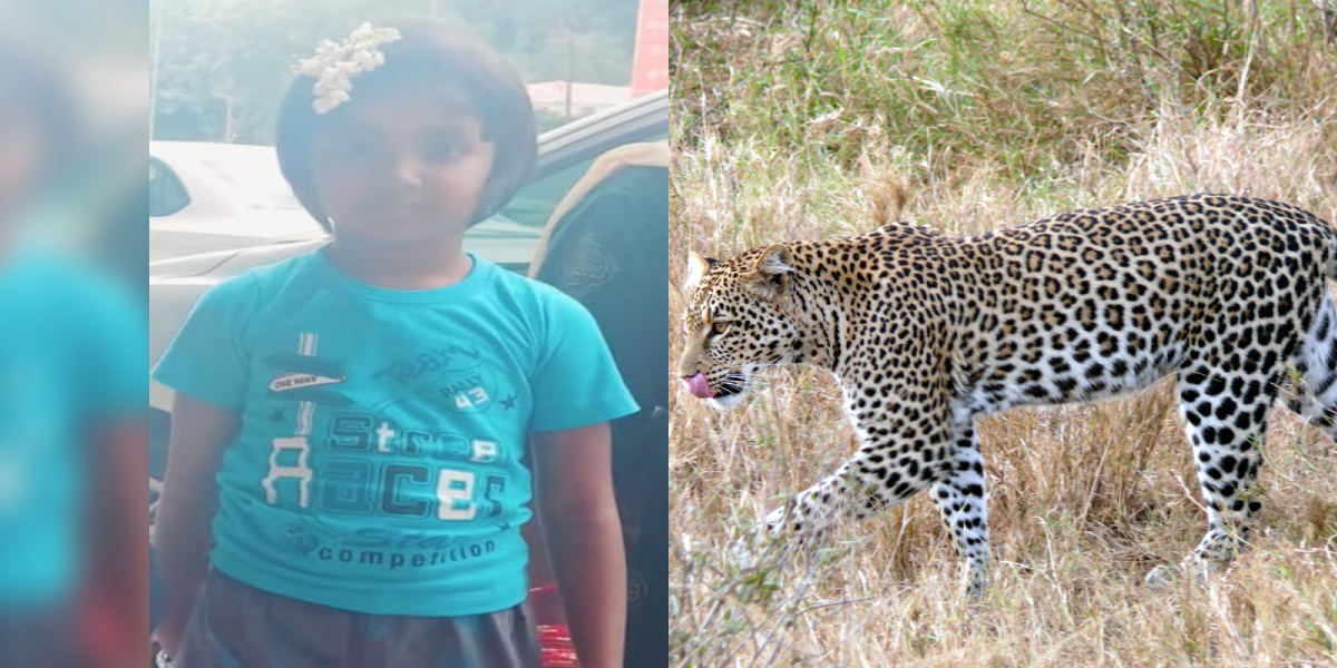 Tirupati, 6 yr old girl dies after Leopard attack