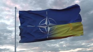 Ukraine Firmly Rejects Land Concession for NATO