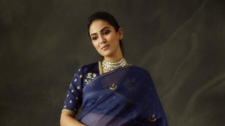 Mira Rajput stuns in elegant blue Raw Mango saree - Asiana Times