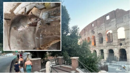 Climate change has been blamed for Rome's rat infestation (Image Source: Corriere Della Serra)