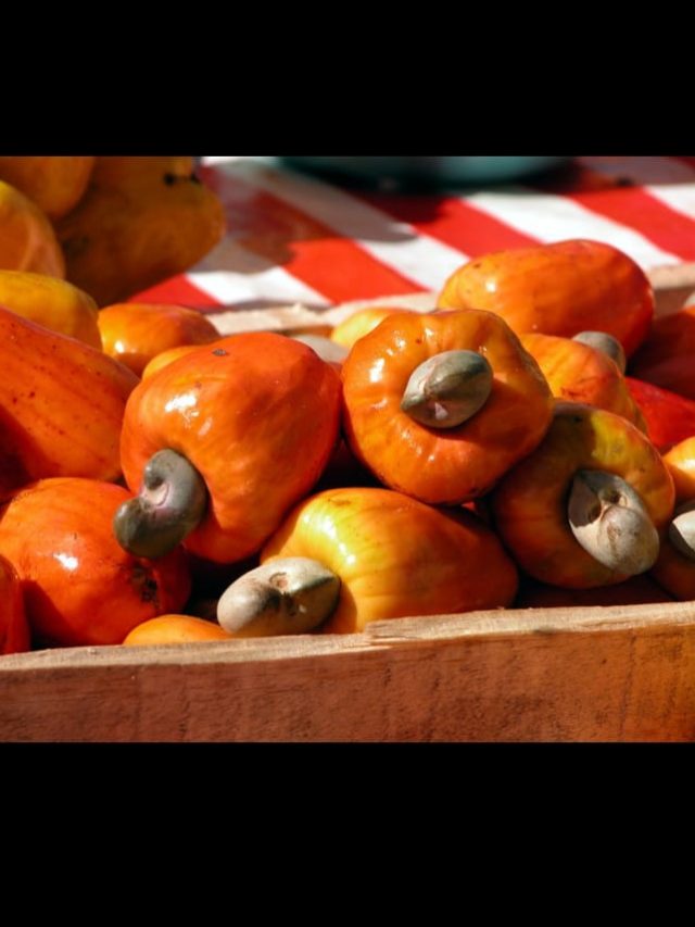 Exploring the Wonderful Benefits of Cashews.