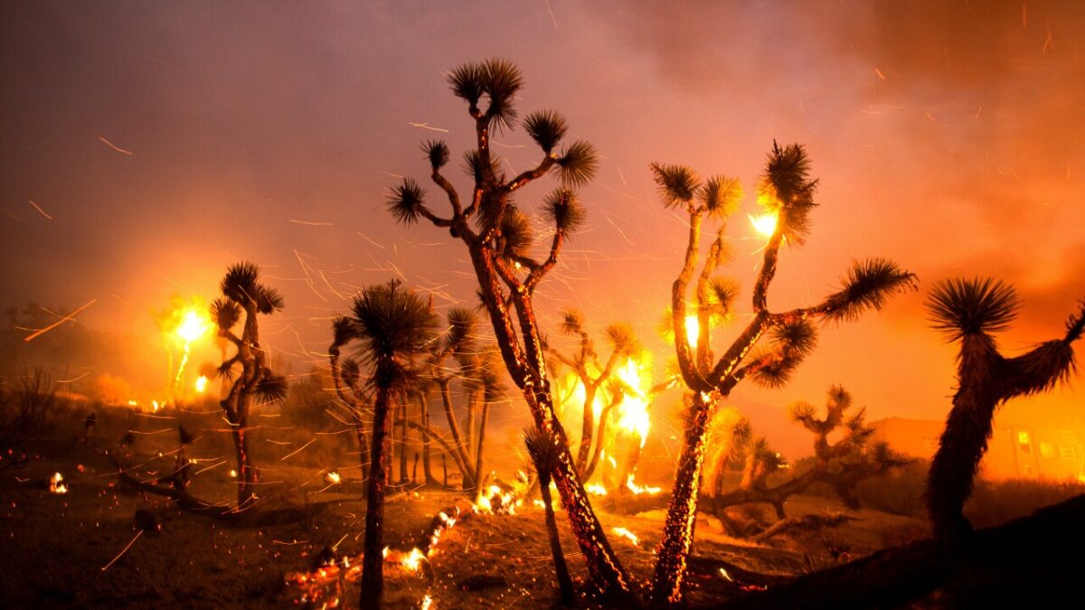 The York fire, reaching california-navada state line