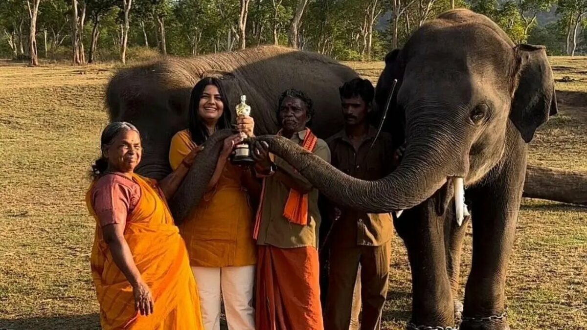 The Elephant Whisperers' Faces Controversy: Allegations of Exploitation by Tribal Couple - Asiana Times