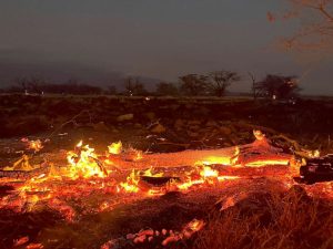 Power Lines scrutinised as Cause of Maui Wildfires - Asiana Times