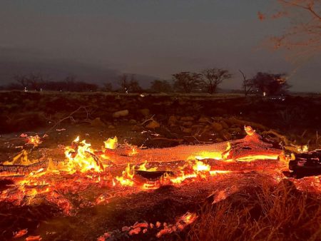 Power Lines scrutinised as Cause of Maui Wildfires - Asiana Times