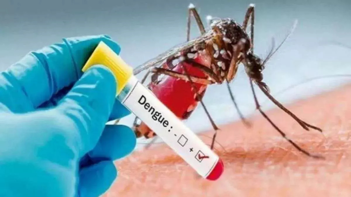 Chikungunya and Dengue cases on the rise 