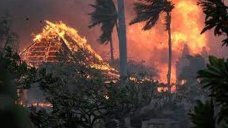 Wildfires Run Rampant in Maui, Hawaii - Asiana Times