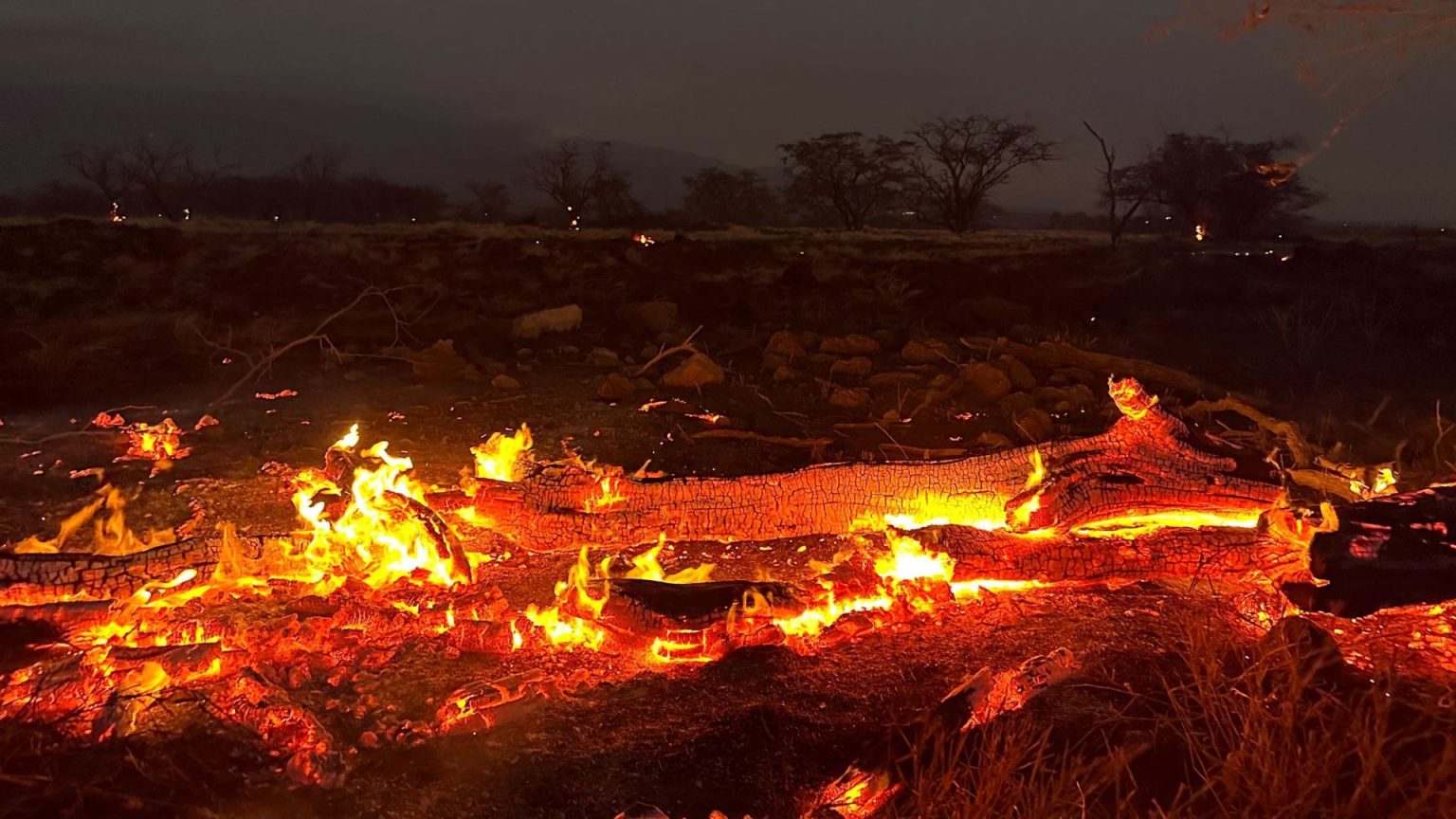 36 Dead in the Lahaina Wildfire of Hawaii - Asiana Times