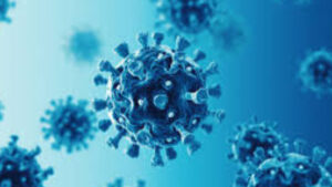 ‘Eris’ covid sub-variant- Should India be concerned about the new virus? - Asiana Times