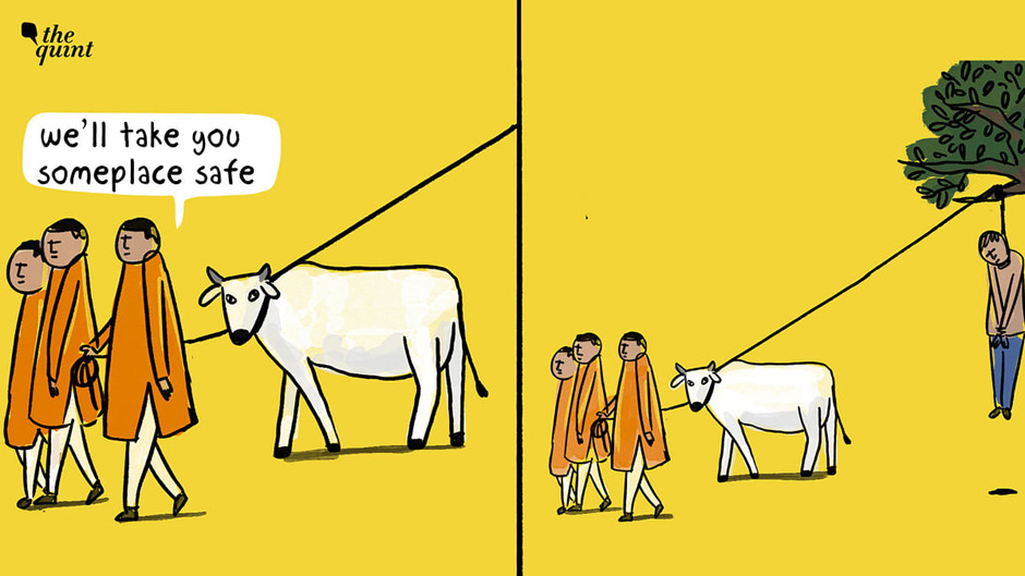 The Cow Vigilantes of India: An Uncomfortable Debate - Asiana Times