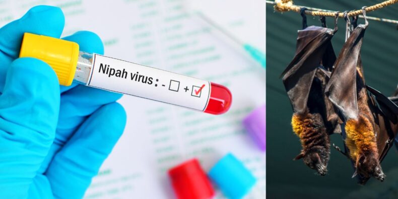 Nipah virus strikes in Kozikode