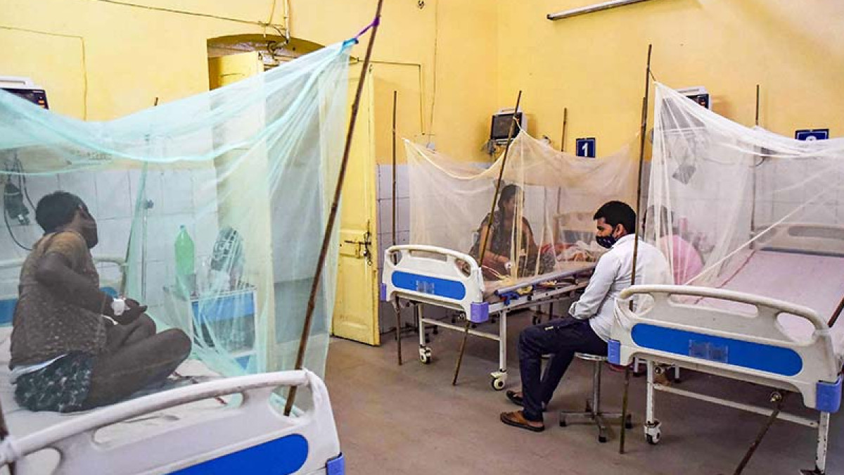 Dengue Cases Doubled Within a Fortnight In Kolkata - Asiana Times