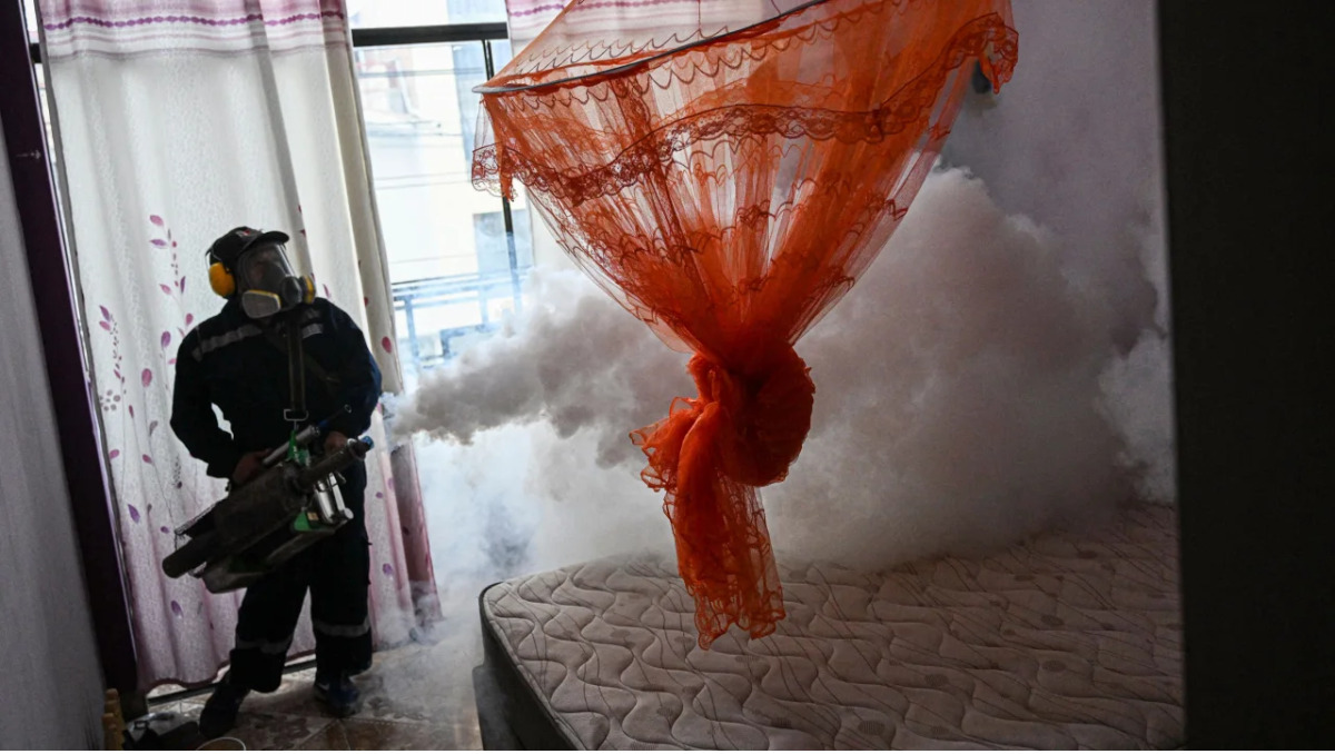 Is climate change behind alarming uptick in dengue? - Asiana Times