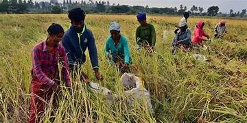 Bengaluru farmers fight against outdated compensation laws - Asiana Times