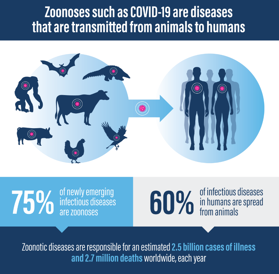 Impact of Zoonotic Virus
