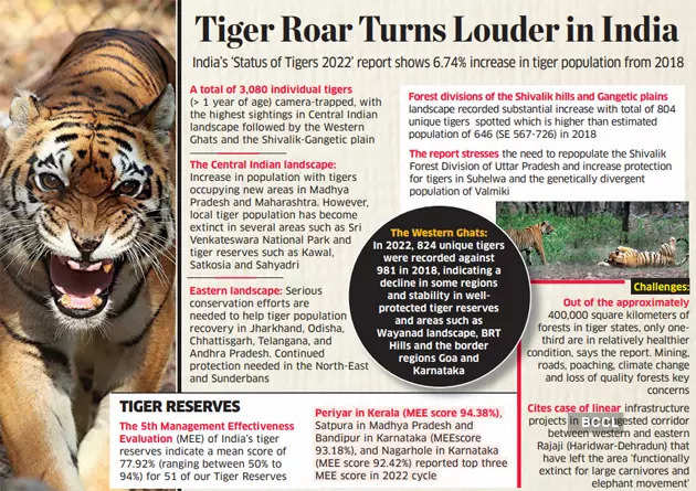 Tiger Census In India