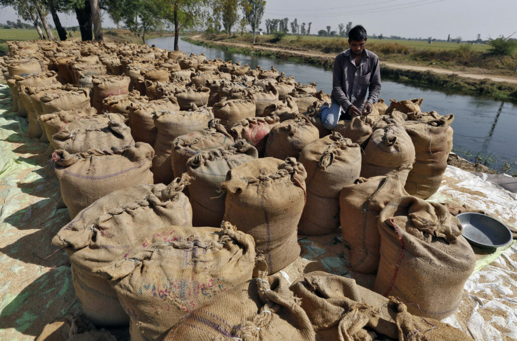 Why are Indians Stocking Up on Rice in US, Canada? - Asiana Times