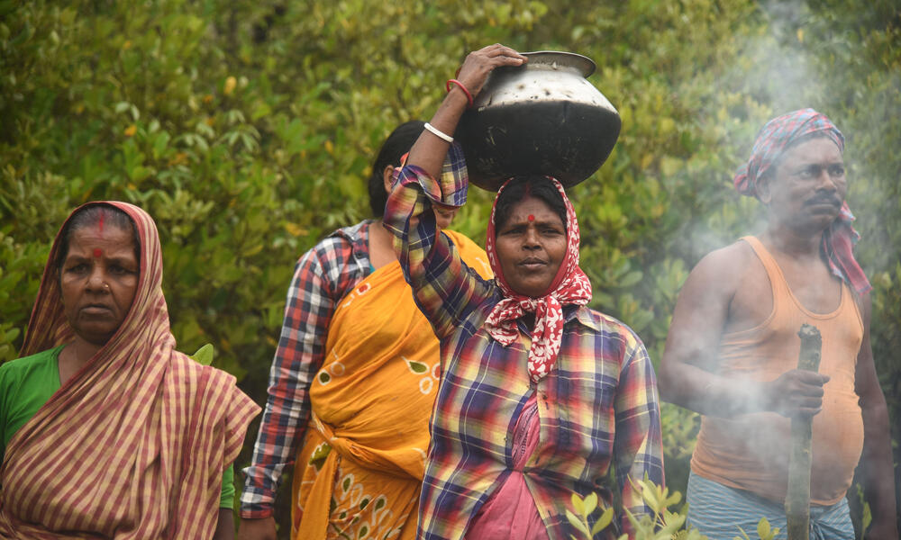 Sundarbans is nearing its Tiger Carrying Capacity