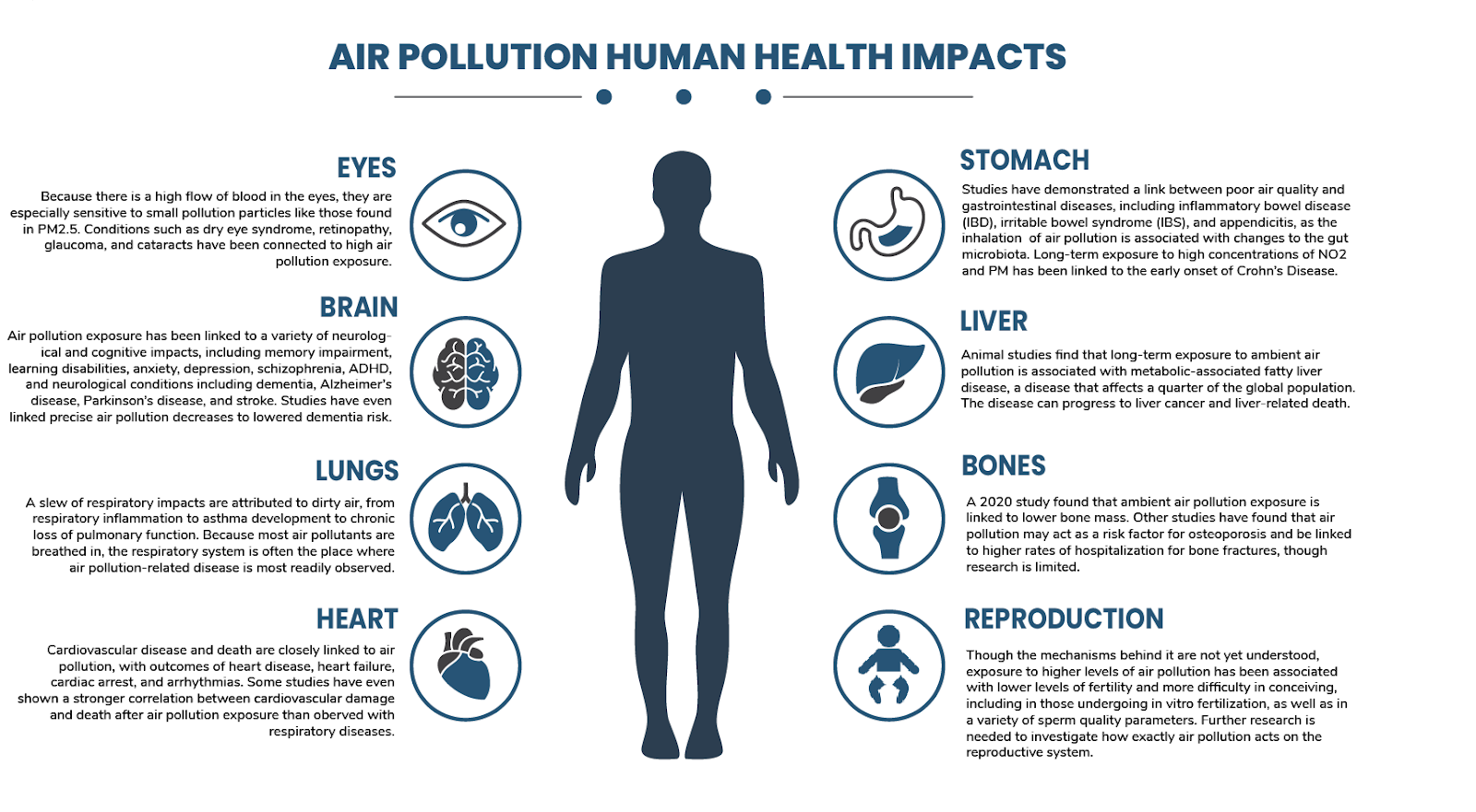 pollution effects on human health