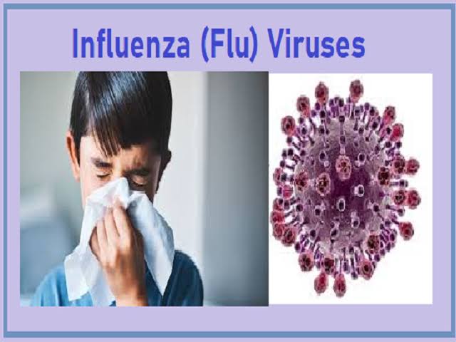 Flu Season: Emerging H3N2 Dominates Battling Influenza - Asiana Times