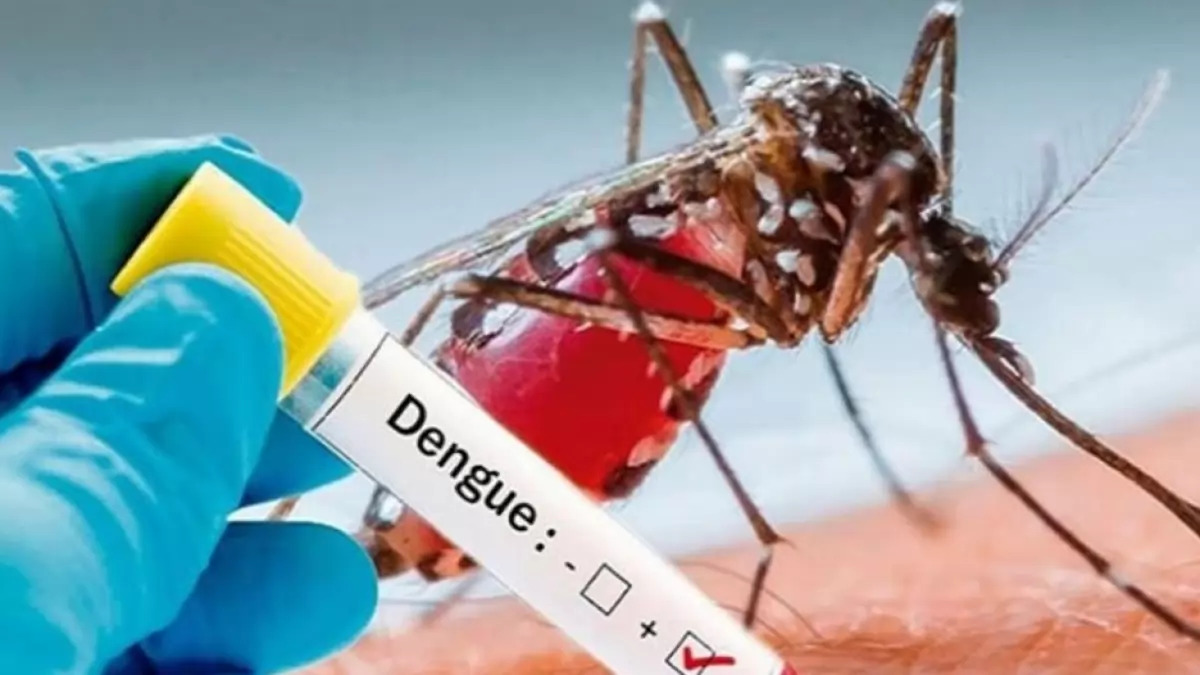 Delhi's Aggressive Dengue Prevention Drive, 27,000 Houseowners Penalized - Asiana Times