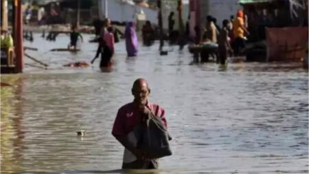 delhi floods: breeding ground for dengue