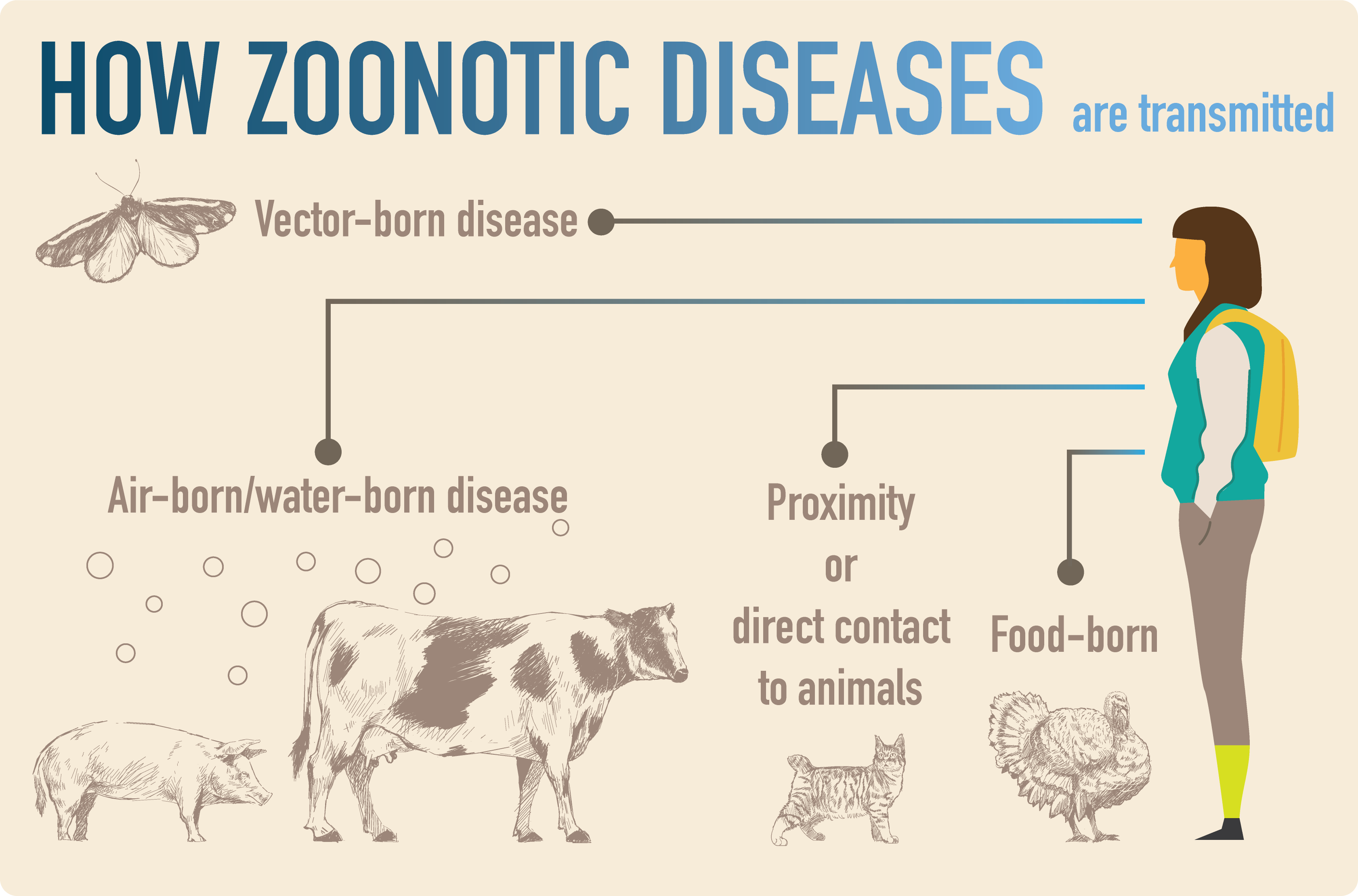 How Zoonotic Diseases are transmitted