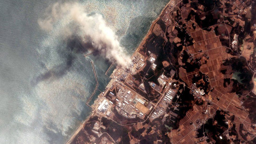 Japan's Fukushima plant in the disaster