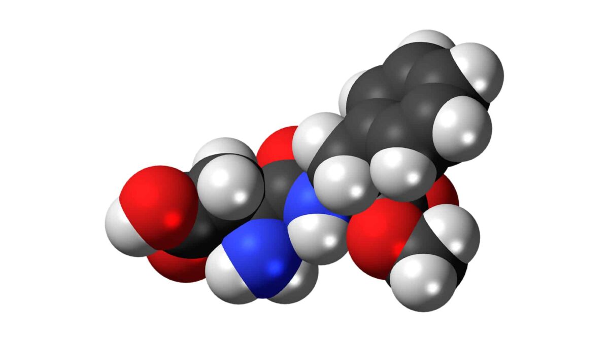 The Bitter Truth: Aspartame Linked to Cancer Risk