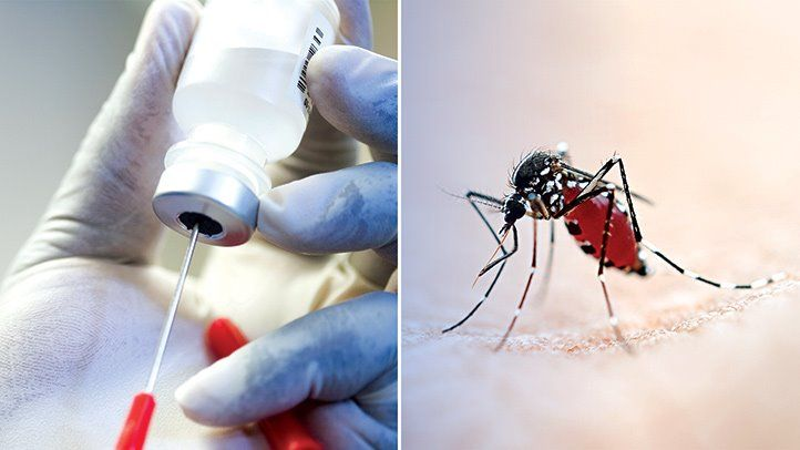 WHO report says malaria cases and death remained stable in 2021