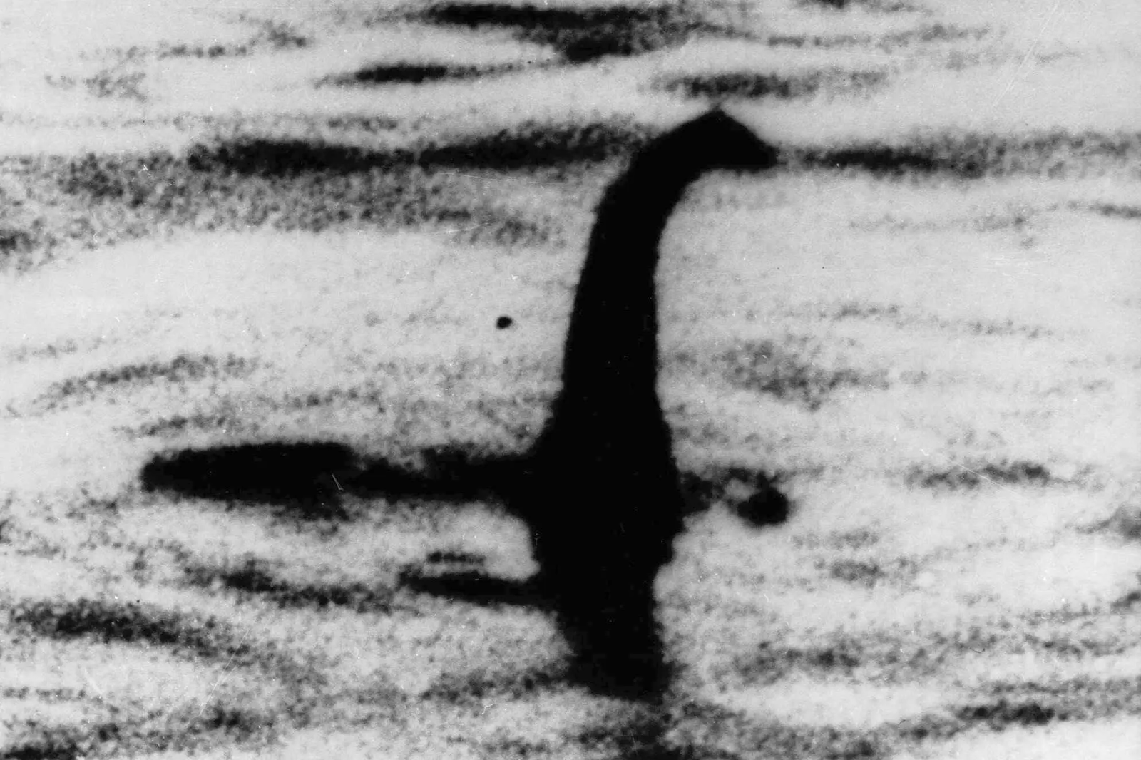 The biggest hunt for the Loch Ness Monster, 100 gathered in the UK in search of it. - Asiana Times