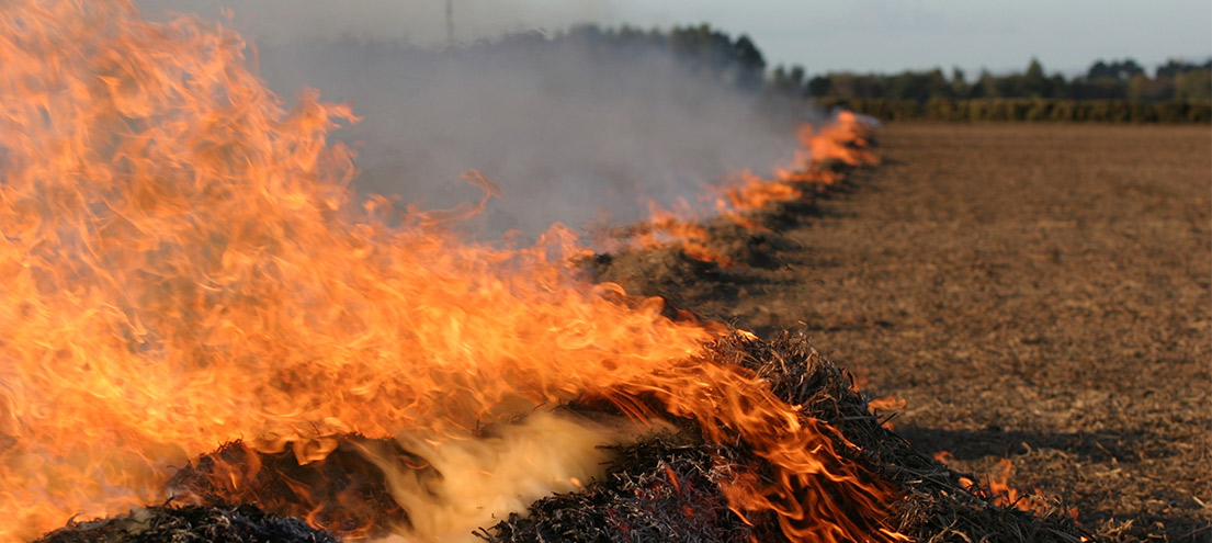 stubble burning leads to pollution
