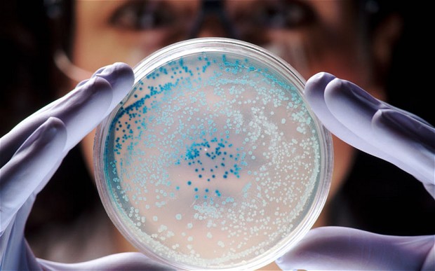 Unique bacteria for each individual