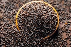 Mustard Seeds