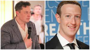 1st Cage Fight: Elon Musk vs. Mark Zuckerberg - Asiana Times