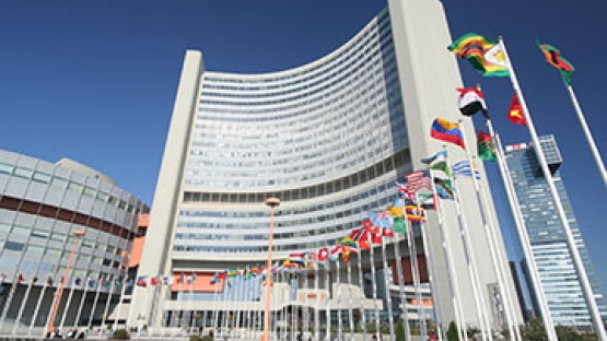 IAEA head seeks a release of Ukrainian Nuclear Power Plant - Asiana Times