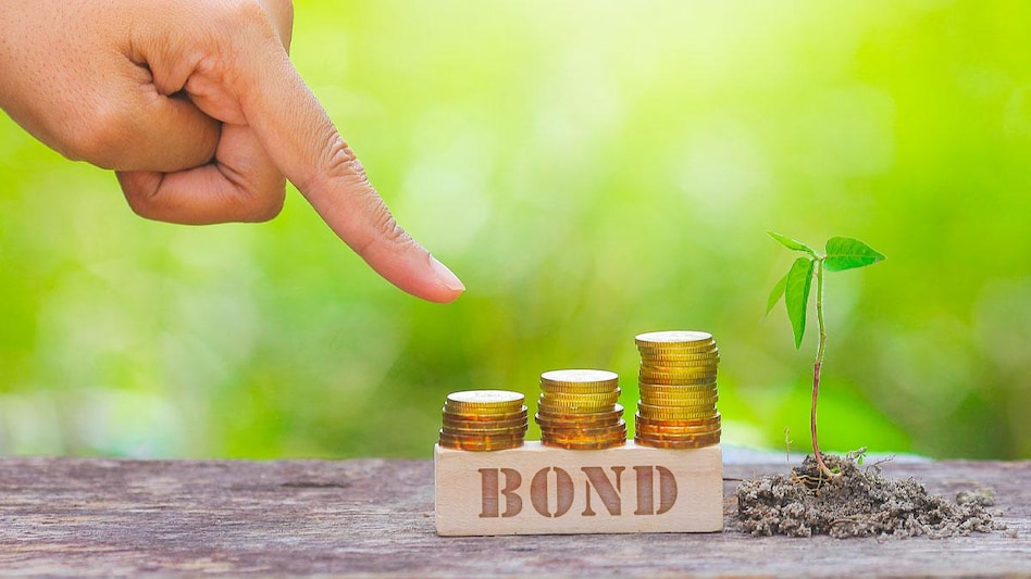 RBI Green Bonds