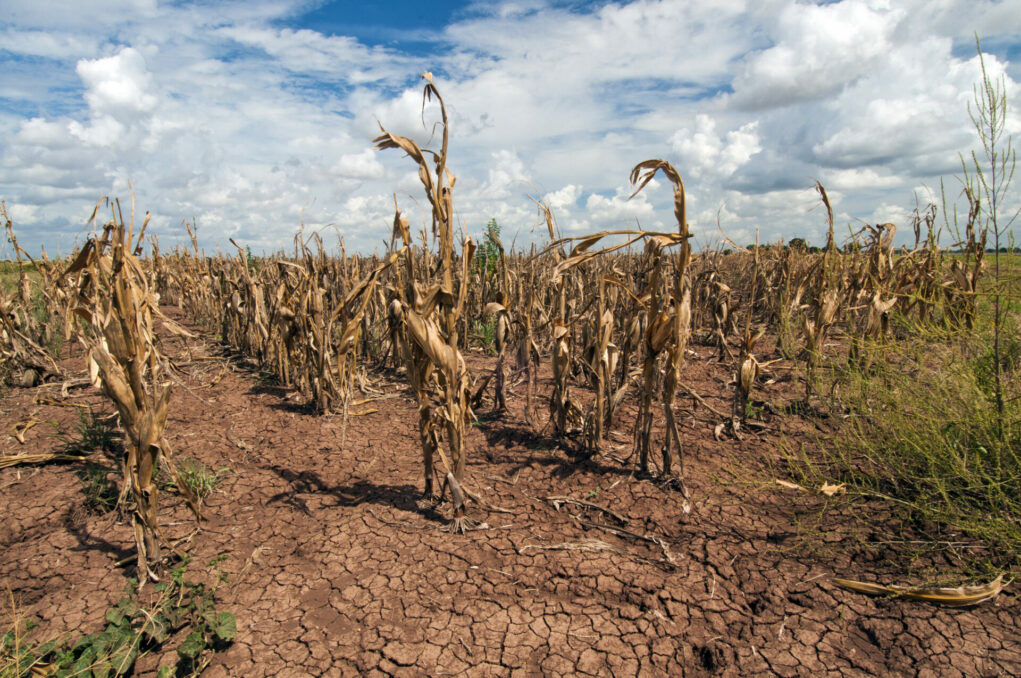 El Nino weather pattern returns amidst Temperature surging - Asiana Times