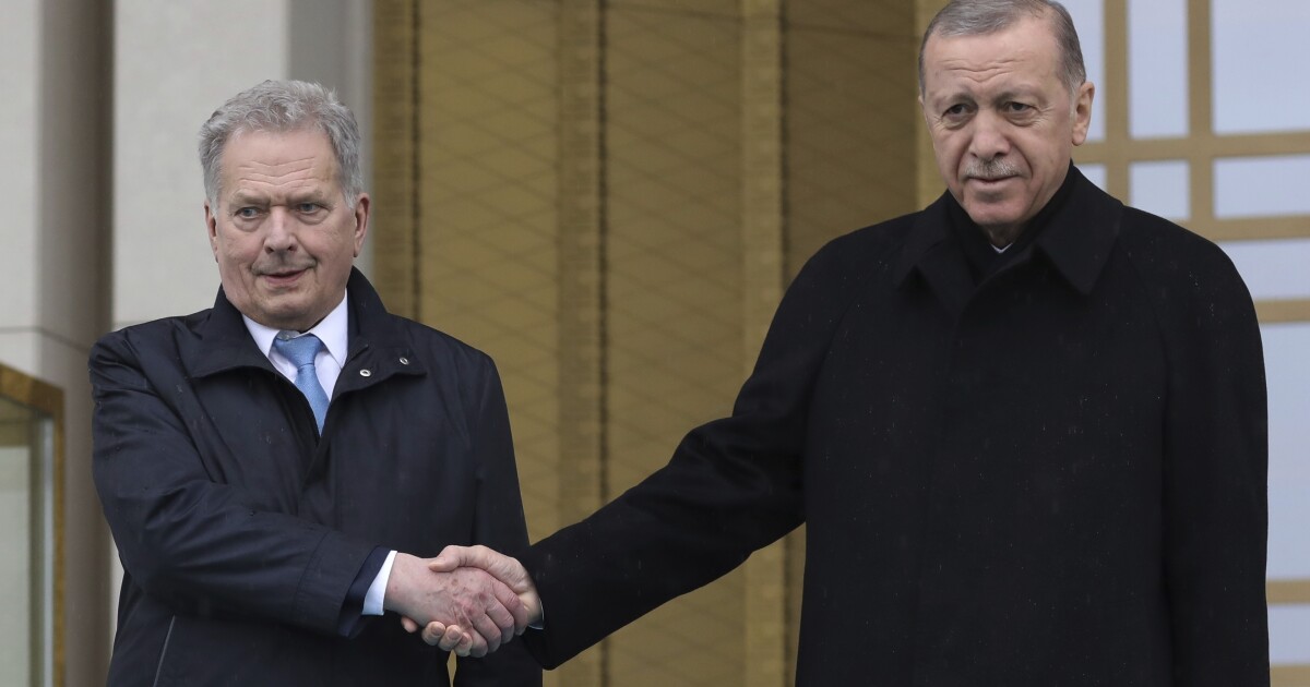 Turkish President Recep Tayyip Erdogan and Finland's President Sauli Niinisto