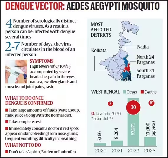 North 24 Parganas, The Worst Hit Dengue Area With One-Third Cases  - Asiana Times