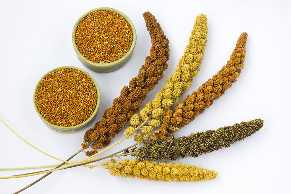 MIIRA: A Global Initiative for Millet by India - Asiana Times