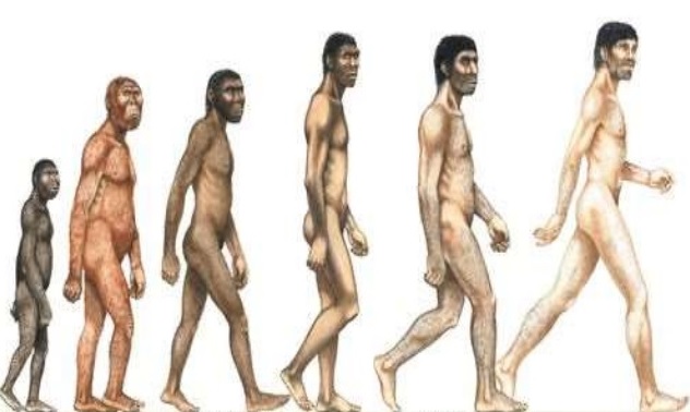 New Species Evolution