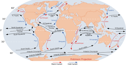 Hurricane Idalia : Causes and Concerns - Asiana Times